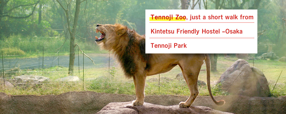 From Hostel walk for approx. 7-minute. Tennoji Zoo